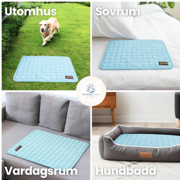 SvalTass™ – Nordisk Komfort för Din Hund